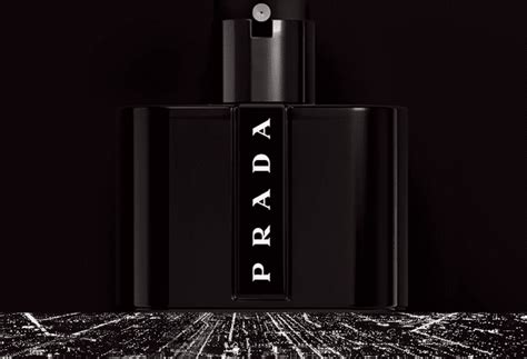 prada black summer or winter|Prada black perfume reviews.